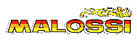 malossi